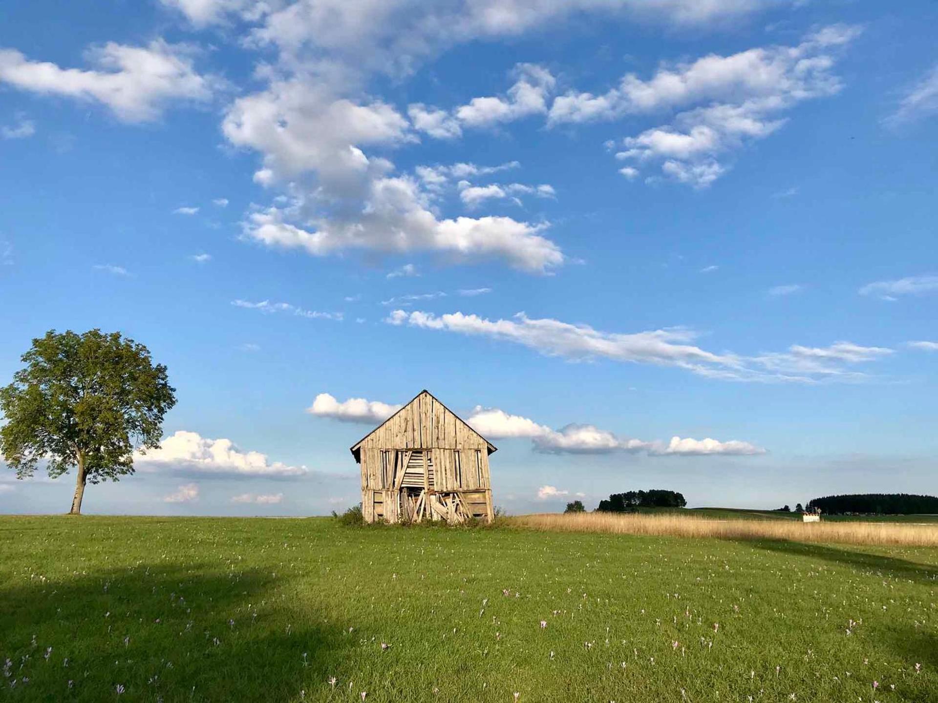 Gaestehaus Roessle Rötenbach Zewnętrze zdjęcie