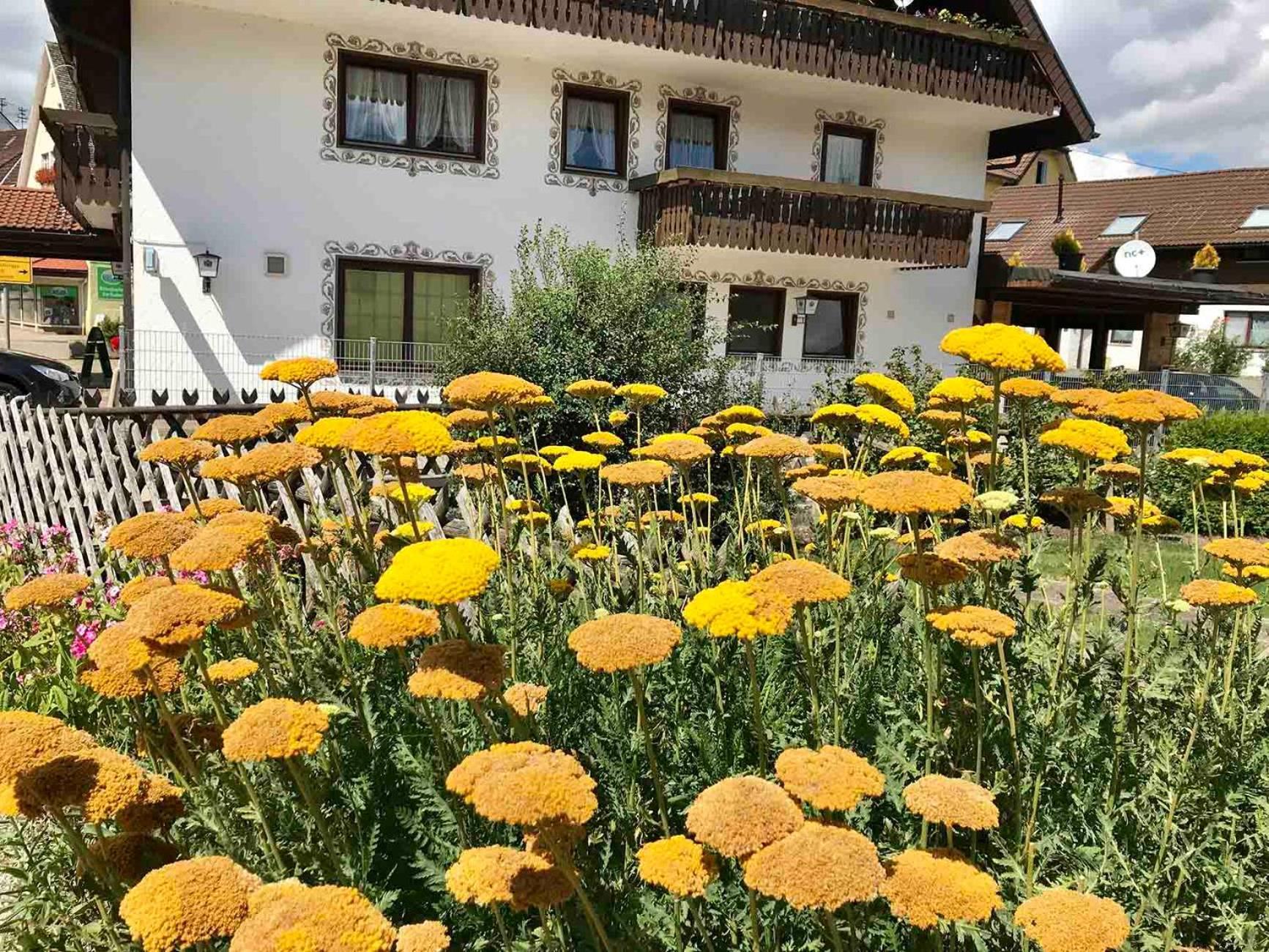 Gaestehaus Roessle Rötenbach Zewnętrze zdjęcie